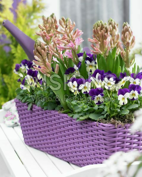 Spring container Spring container