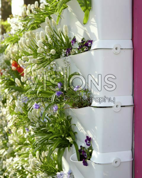 Vertical gardening Vertical gardening