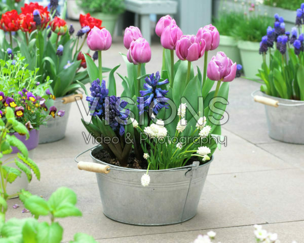 Spring container Spring container