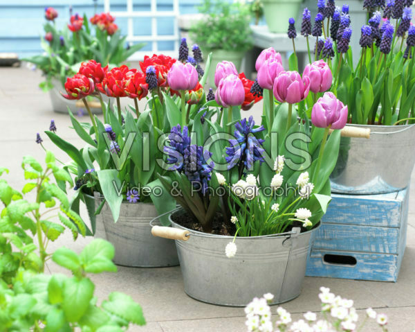 Spring containers Spring containers
