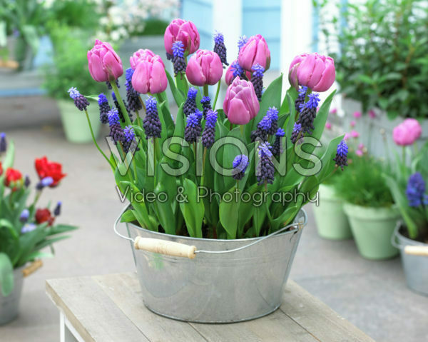 Spring container Spring container