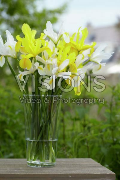 Iris bouquet Iris bouquet
