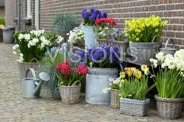 Spring containers Spring containers