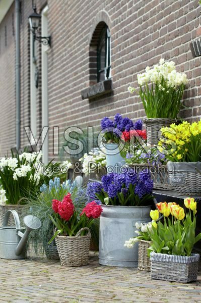 Spring containers Spring containers