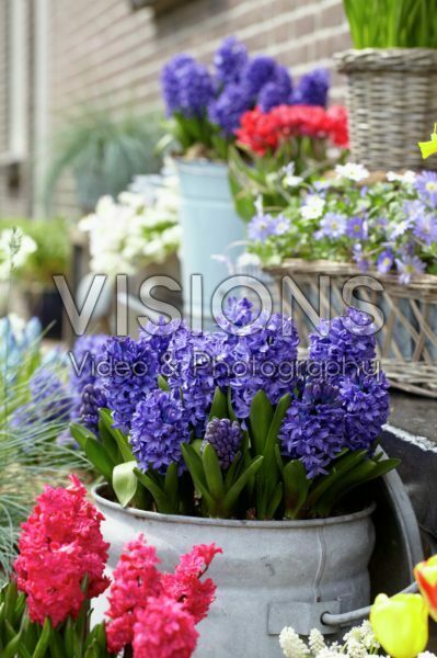 Spring containers Spring containers