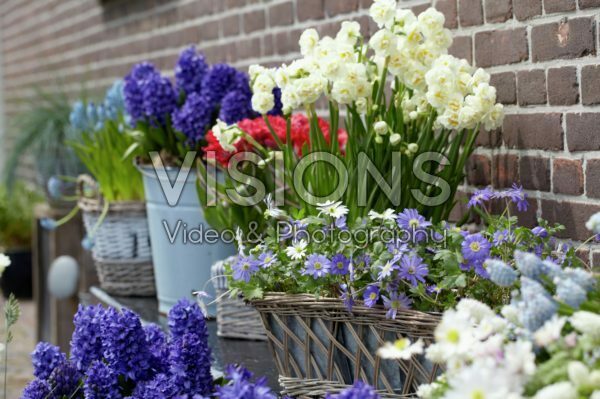 Spring containers Spring containers