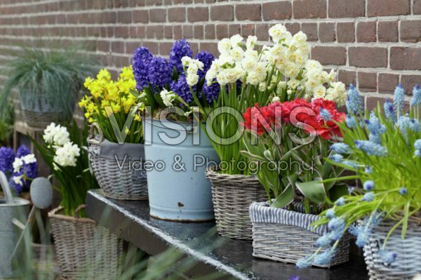 Spring containers Spring containers