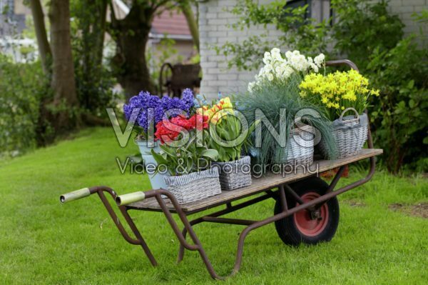 Spring containers Spring containers
