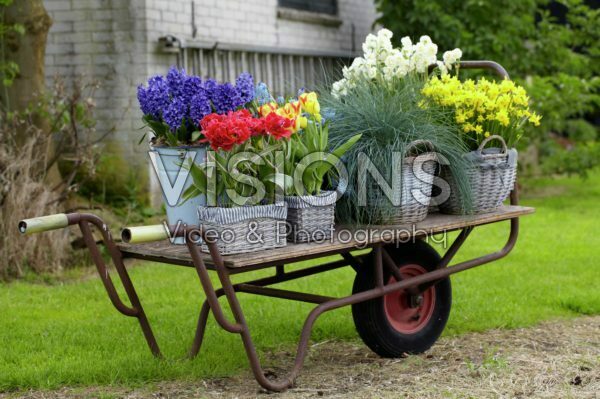 Spring containers Spring containers