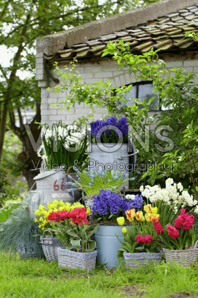Spring containers Spring containers