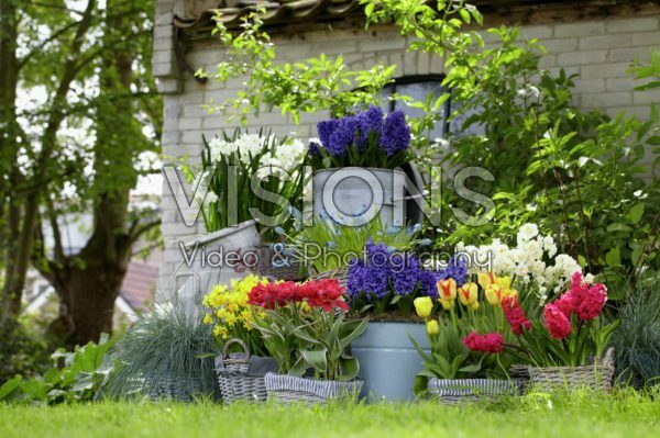 Spring containers Spring containers