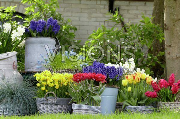 Spring containers Spring containers
