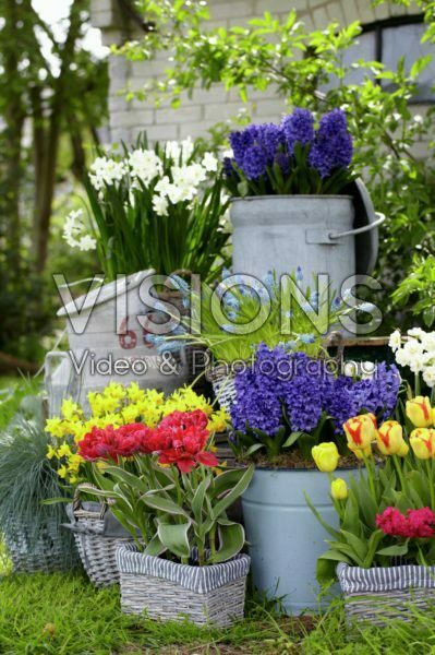 Spring containers Spring containers