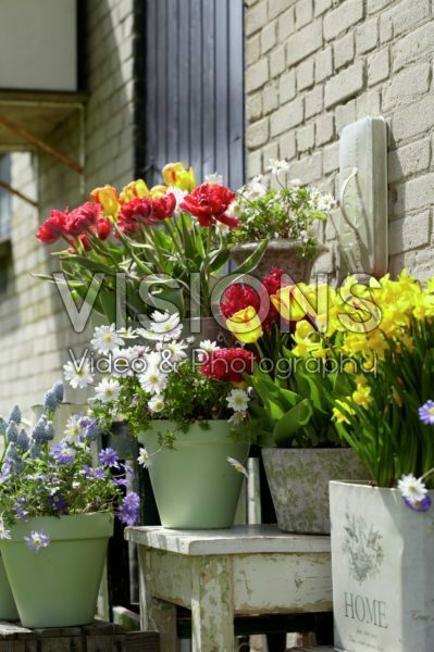 Spring containers Spring containers