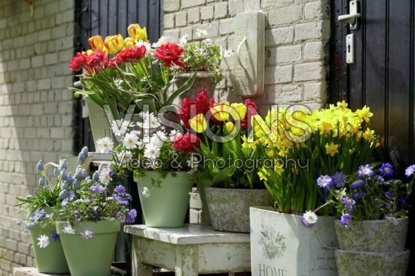Spring containers Spring containers