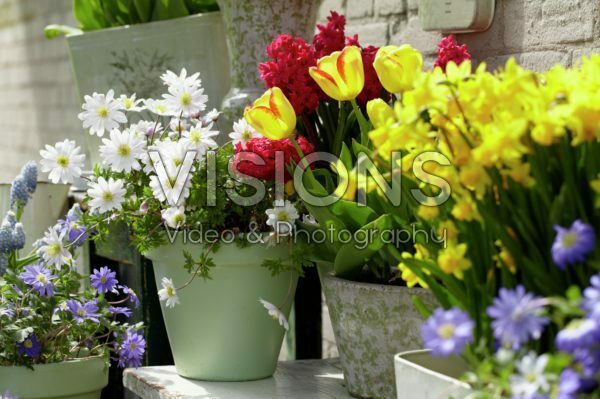 Spring containers Spring containers