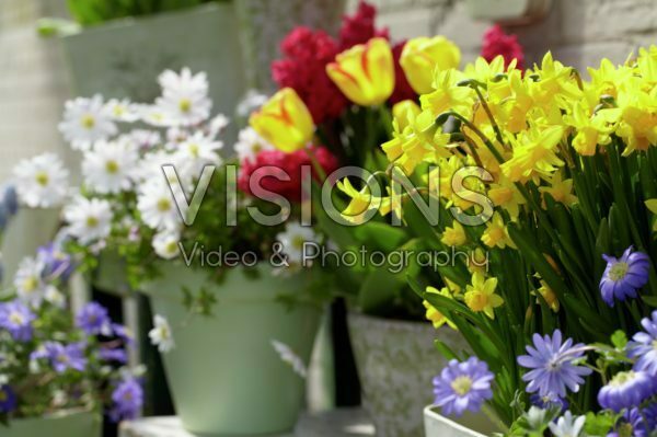 Spring containers Spring containers